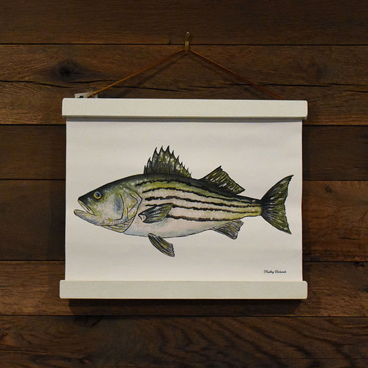 Striped Bass Canvas Print