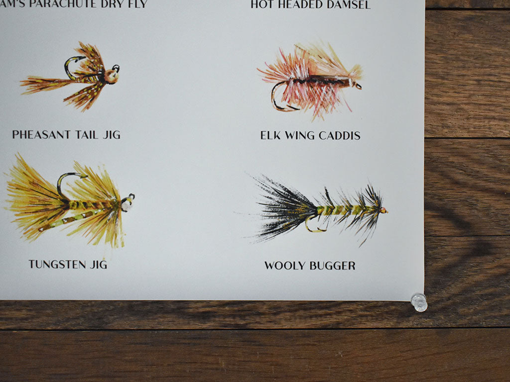 Trout Flies Poster