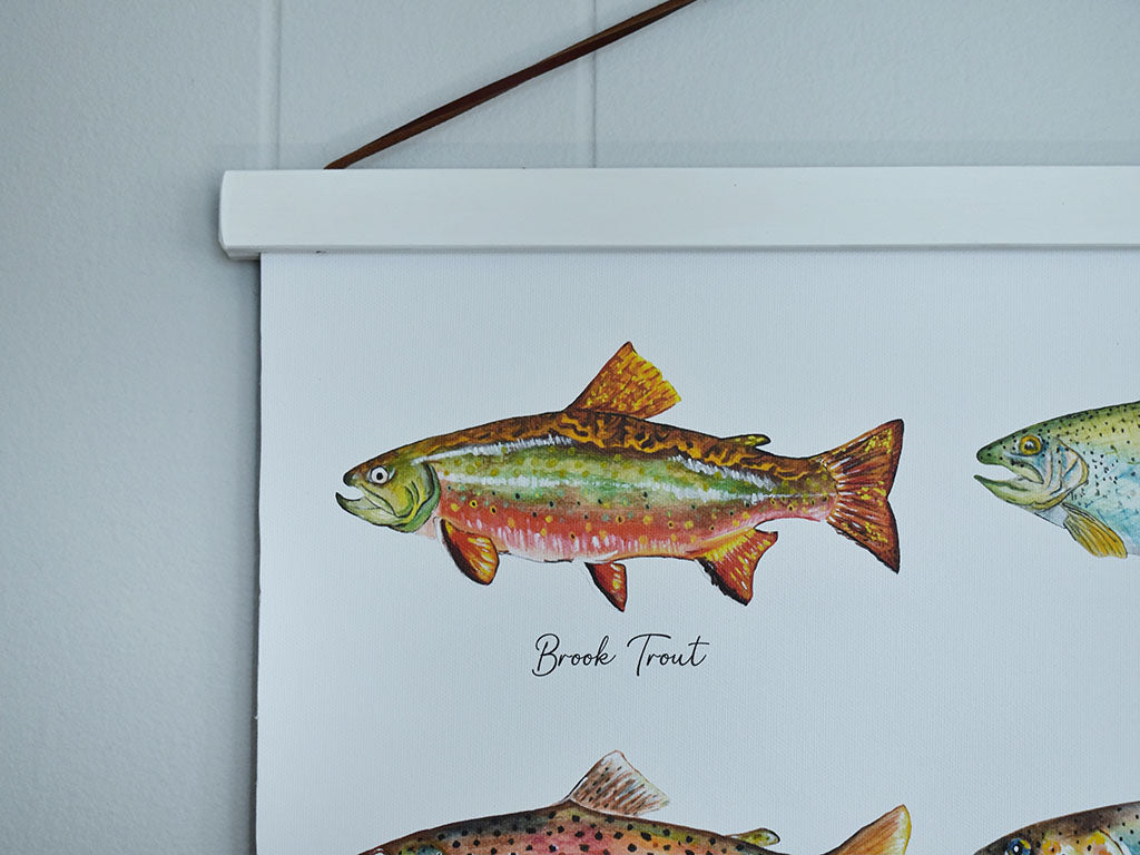 North American Trout Canvas Print