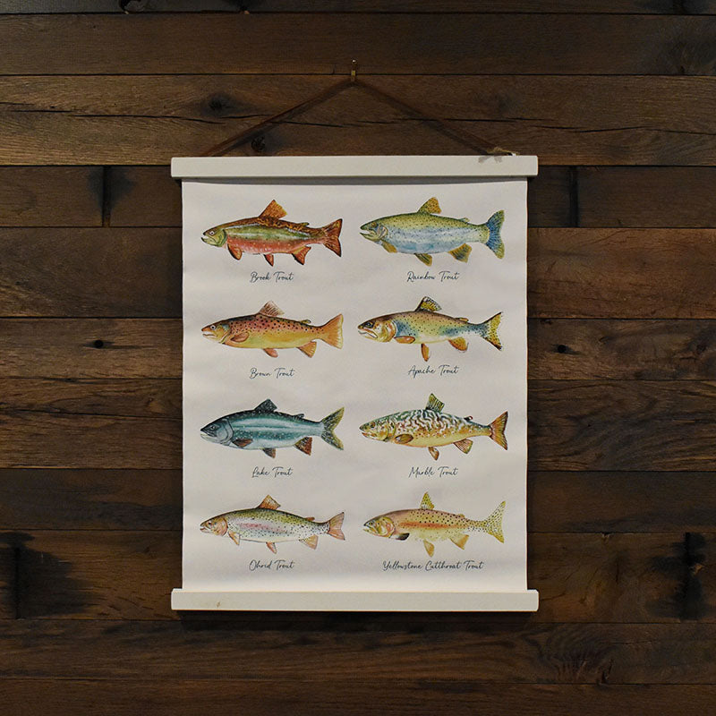 North American Trout Canvas Print