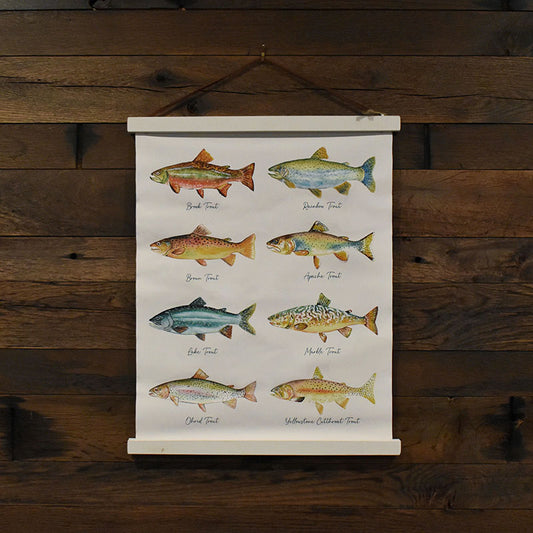 North American Trout Canvas Print