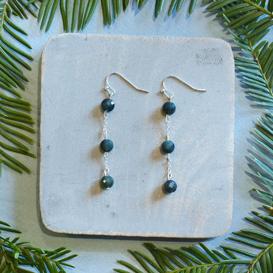 Fancy Jasper Earrings